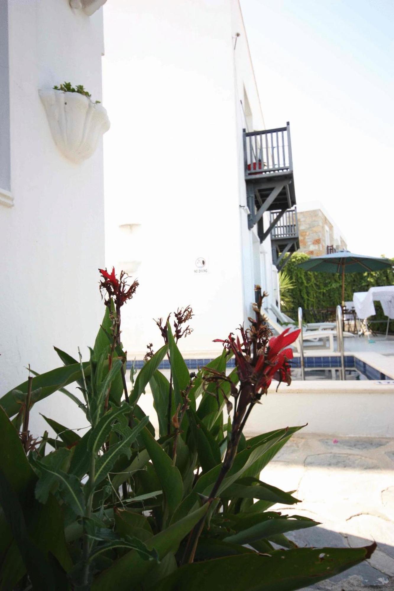Emelce Apart Bodrum Exteriör bild