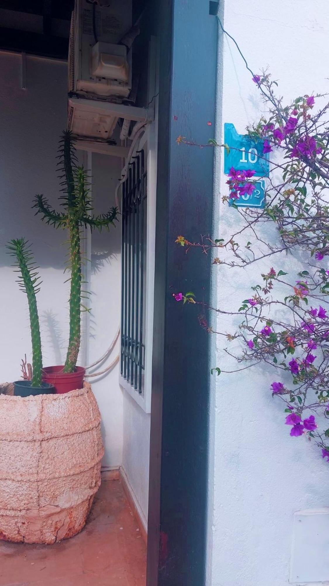 Emelce Apart Bodrum Exteriör bild